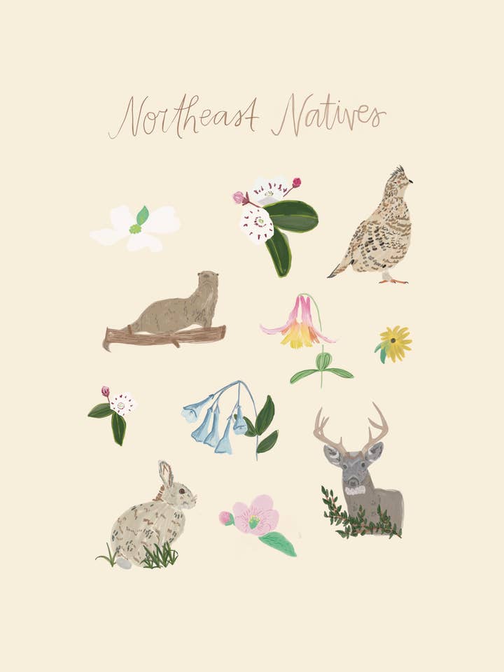 Northeastern Natives Print för wholesale av Daley Kaye Studio