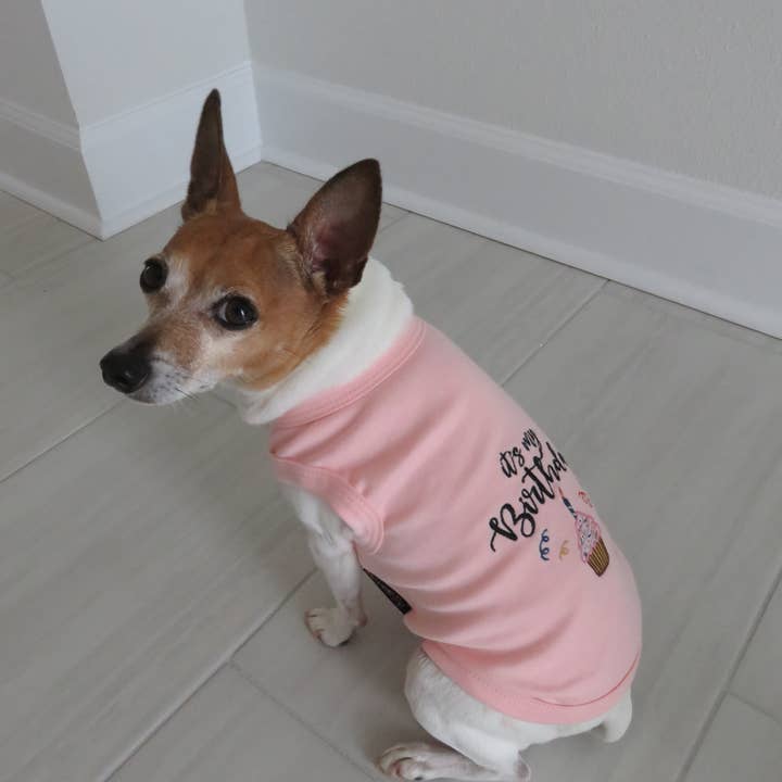 Parisian Pet® – Engroshandel Trøje - Hund – Fødselsdagspige Hund T-shirt – Perfekt til hundefødselsdagsfester