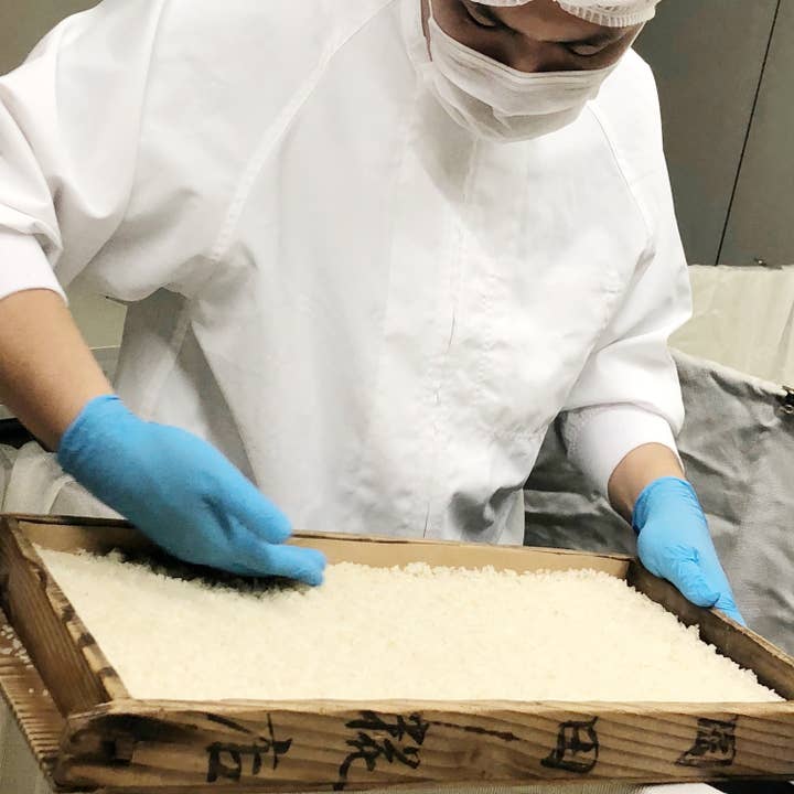 Umami Insider - Wholesale Sauce - White Miso (Saikyo Miso) Paste, 8.81 oz5