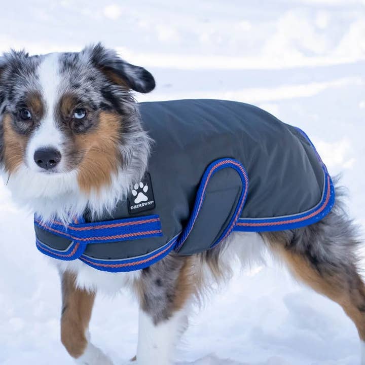 Shedrow K9 Tundra Dog Coat - Tornado for wholesale by Shedrow K9