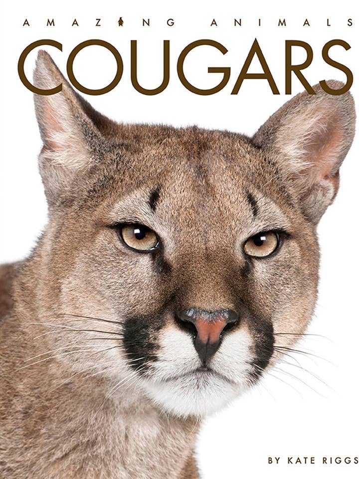 Amazing Animals - New Edition: Cougars for wholesale by The Creative Company