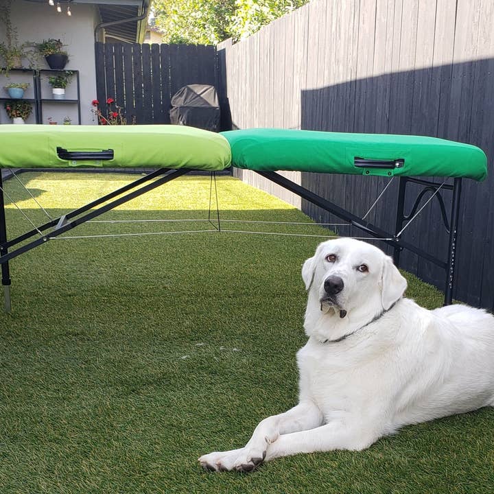 La housse de table de massage originale : demi-table pour la vente par Griffin Table Covers