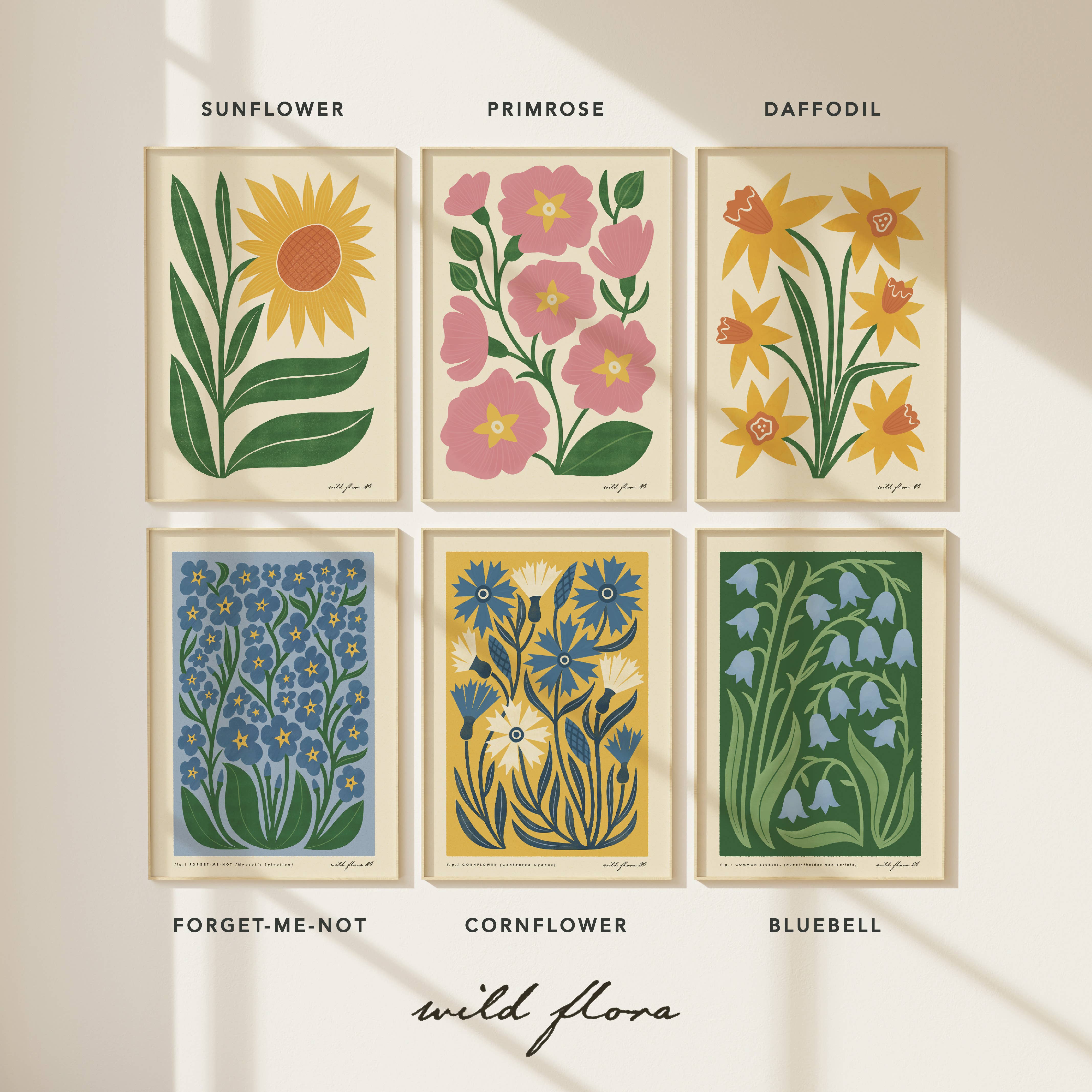 Bird & Co Studio – wholesale Art print – Wild Rose | Modern-Retro Wildflower Art Print | Wall Decor5