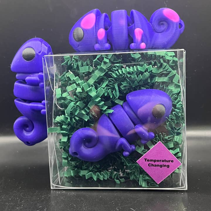 Third St. Studio - Wholesale Fidget Toy - Kids - Chameleon2