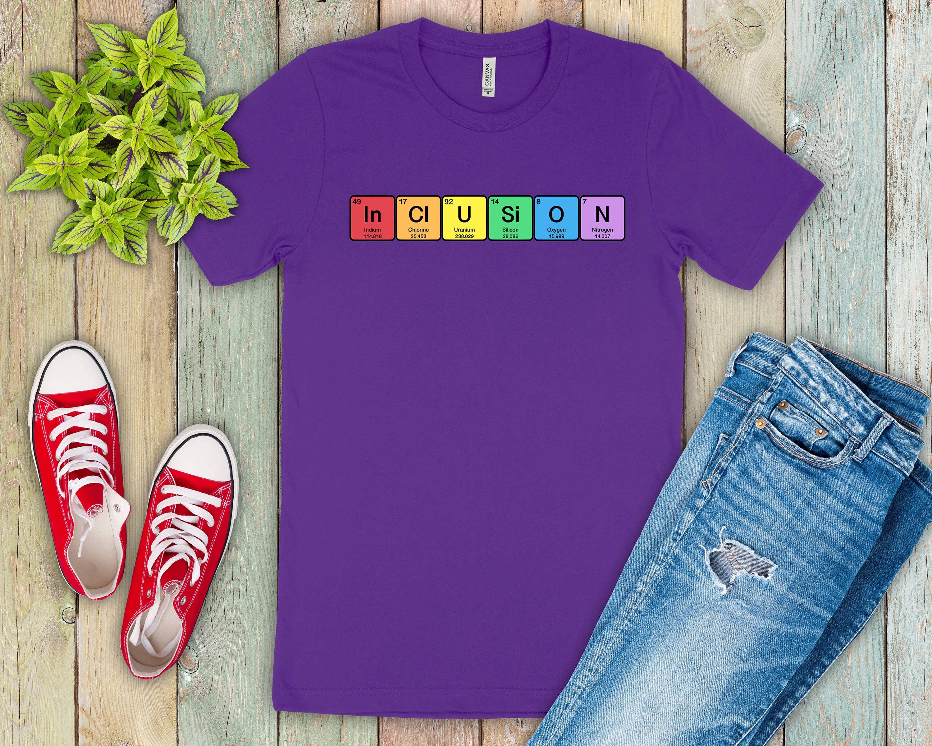 Science & Snark - Wholesale Screen Printed T-Shirt - Women's - The Elements of Inclusion5