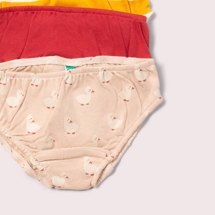 MULTI Puddle Ducks Organic Underwear 3 Pack for wholesale on Faire2