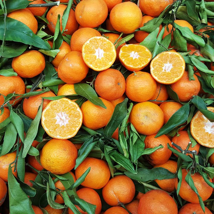 Mannamaru – Licor por atacado – Amaro Mannamaru 0,5 L 30% ABV6