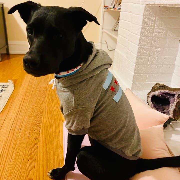 tori grace outfitters - Vente Sweat à capuche – chien - sweat à capuche pour chien Chicago Flag, pull brodé pour chien Chicago6