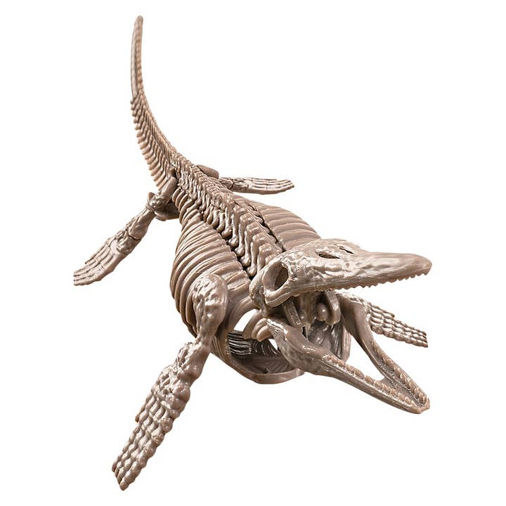 The Toy Network - Wholesale Toy Set - Kids - KidzLabs /Dig A Mosasaurus Skeleton