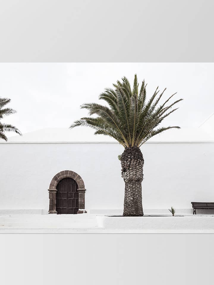 Island Church Coastal Print. Palmetræer Trædørplakat for engroshandel hos PRINT AND PROPER