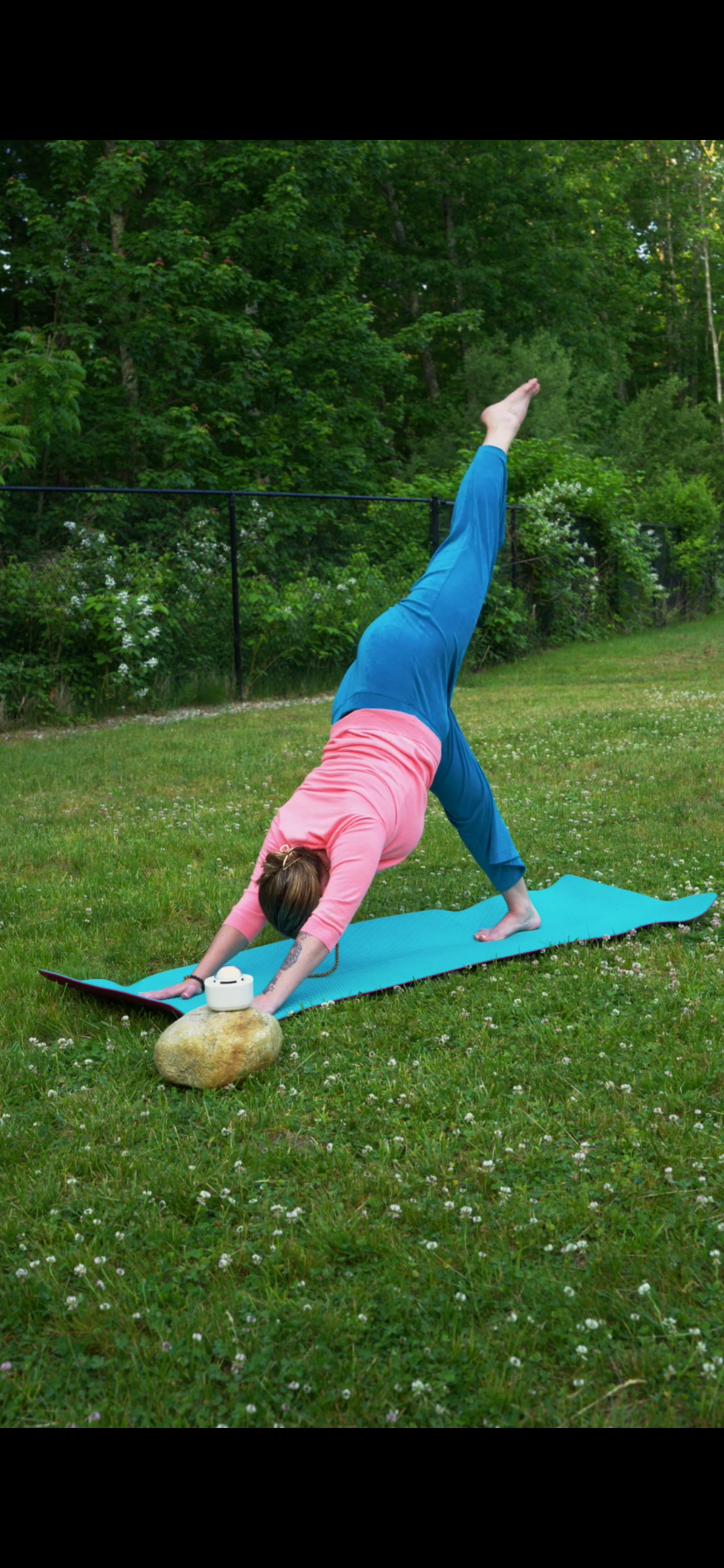 Vibe Aura - Venta al por mayor Estantes de exposición de minoristas - Belleza y bienestar - Dispositivo de frecuencias sonoras monocordio VIBE AURA (paquete de 2)8