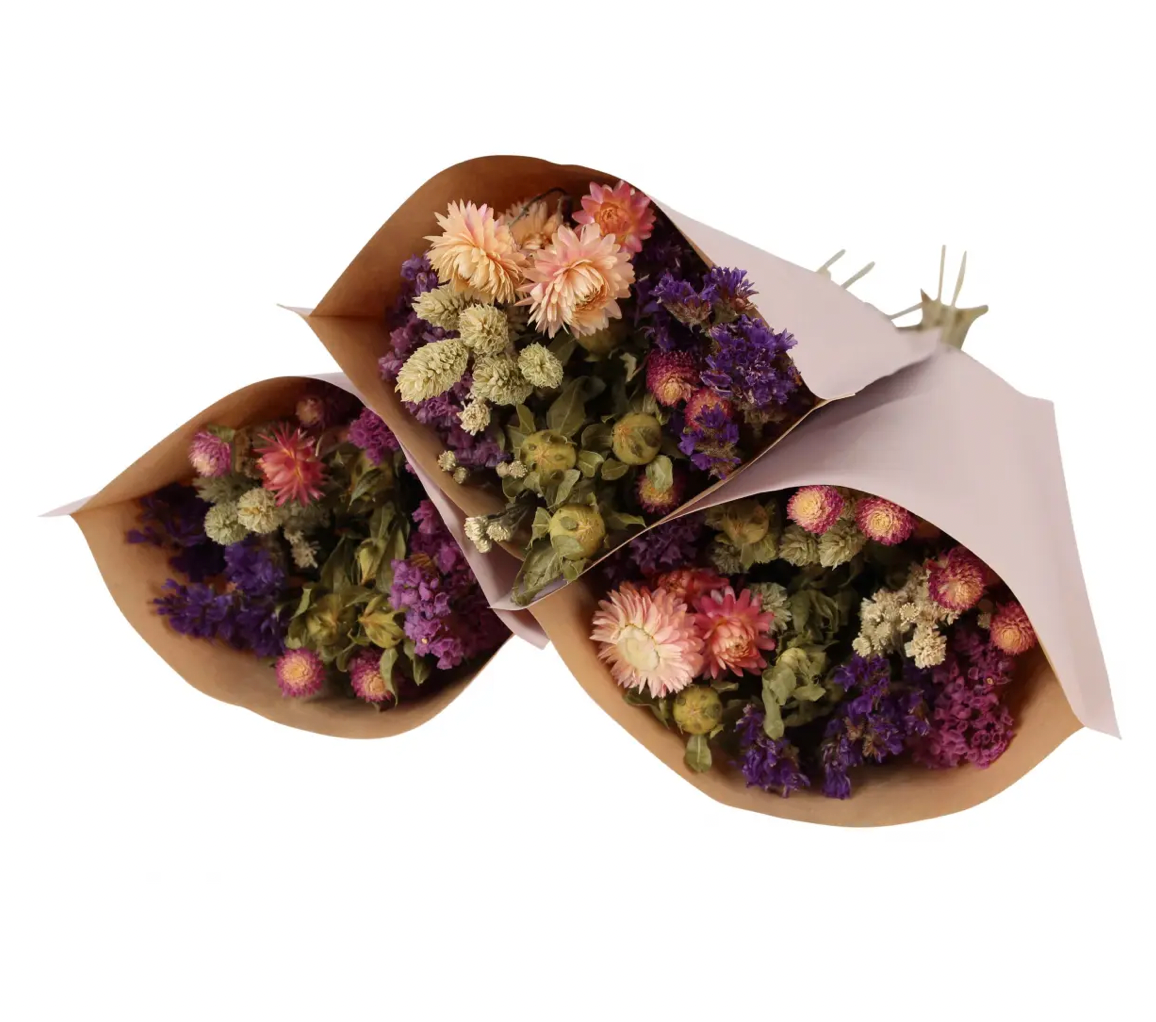 Natural Dried Flower Wired Stems Set of 5 – buy online or call 0800 756 5403