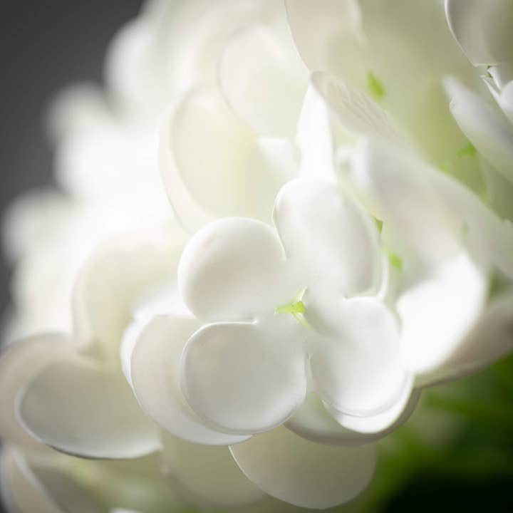 Sullivans Home Decor - Wholesale Artificial Flowers - Freshcut White Hydrangea Spray