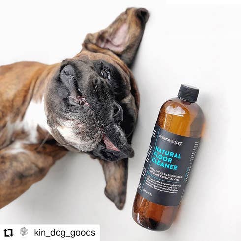 Essential Dog - Wholesale Floor Cleaner - Natural Floor Cleaner (Eucalyptus and Lemongrass)3