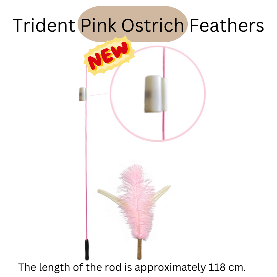 CATWANT – Brinquedo - Gato por atacado – Teaser Extra Longo Substituível - Nova Edição Chilreante2