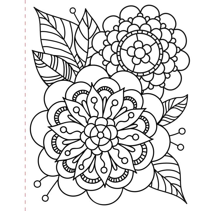 Peter Pauper Press - Wholesale Coloring & Activity Book - Adult - Large Print Coloring Book - Mindfulness5