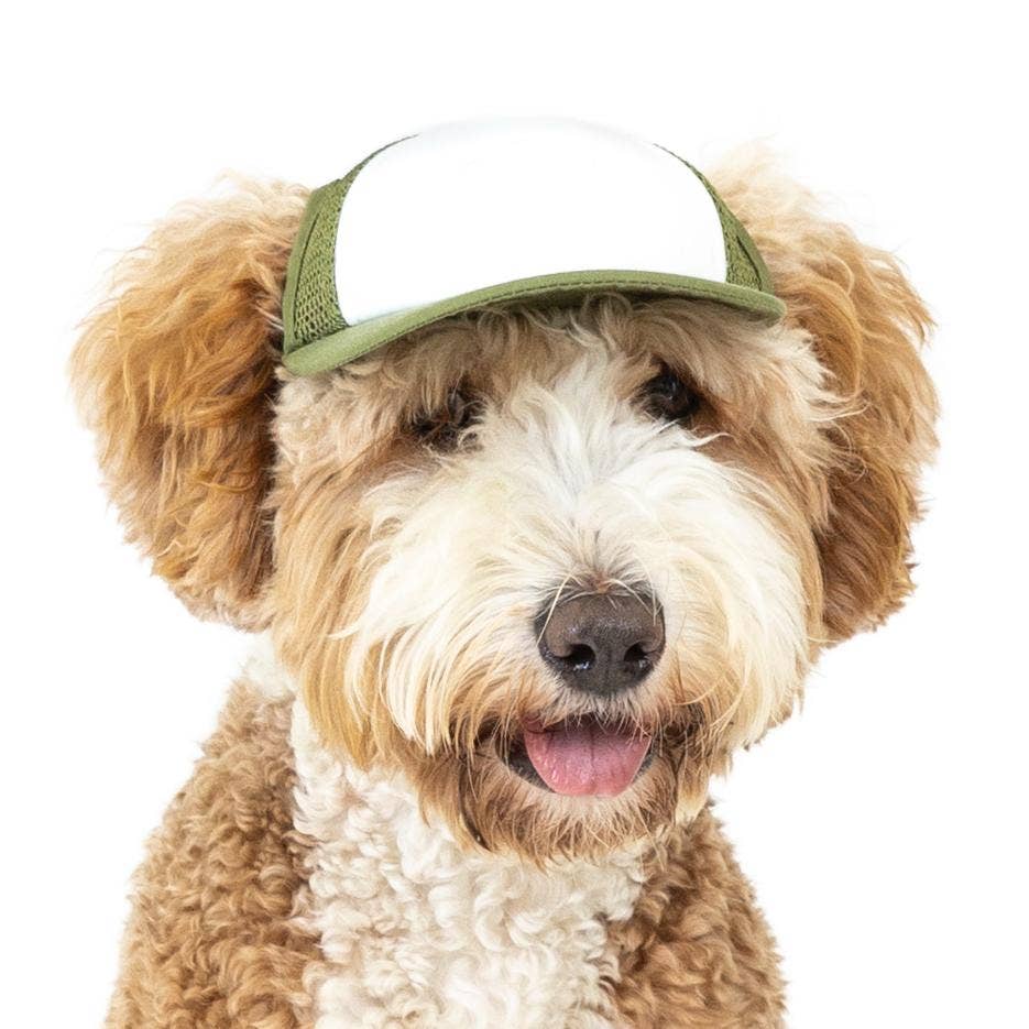 PupLid – wholesale Hatt - Hund – Blank Foam truckerkeps för hundar9