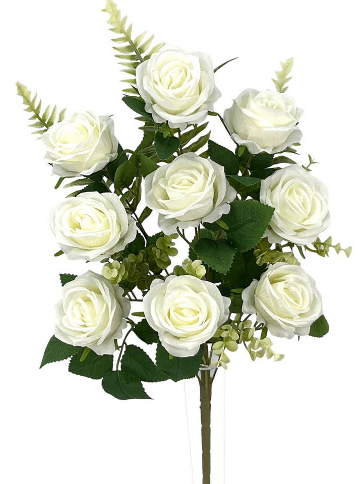 R.U/C. ROSAS X9 CREAM 50cm for wholesale by Aguilar Málaga