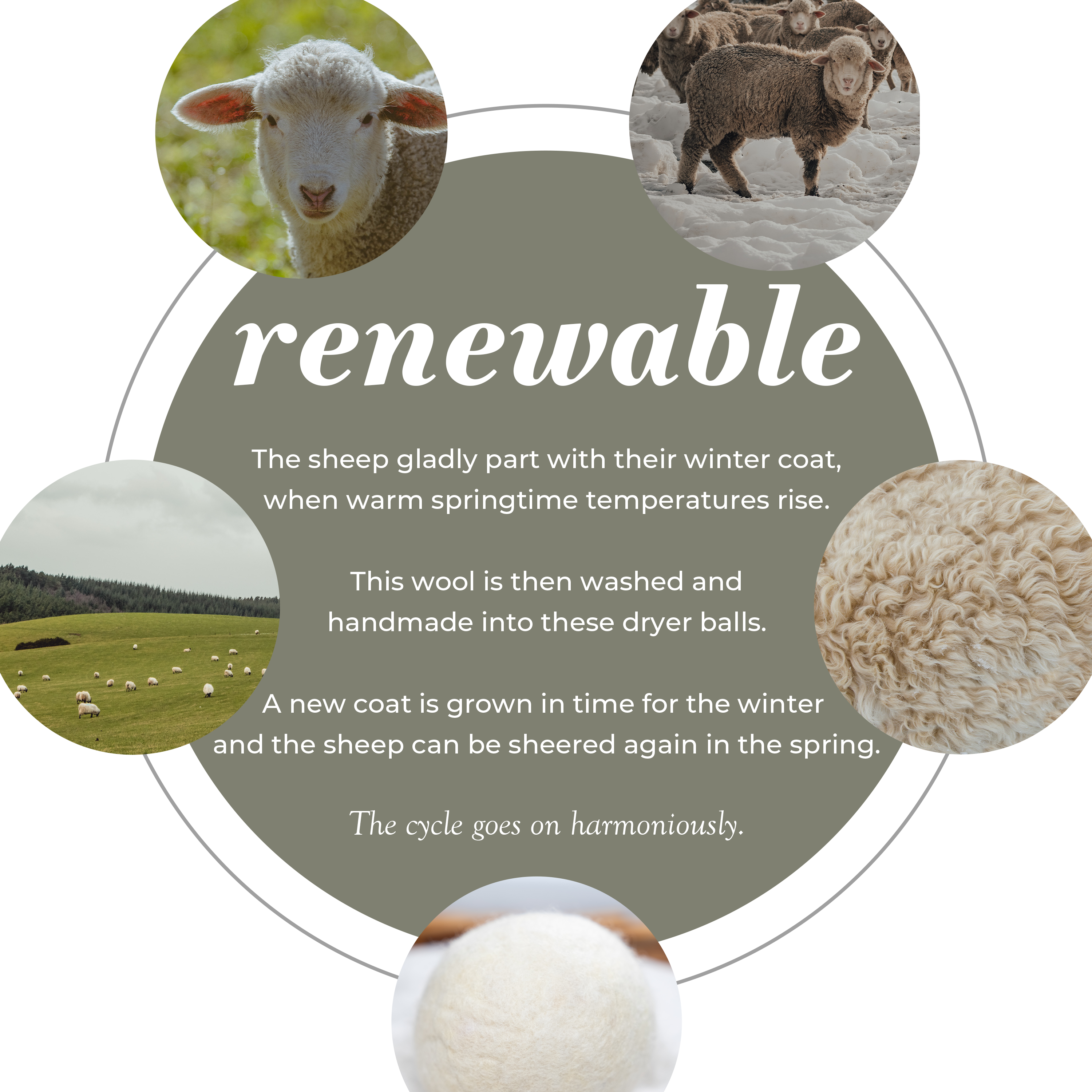 Rustic Strength - Wholesale Dryer Balls - Jumbo Sheep Wool Dryer Balls3