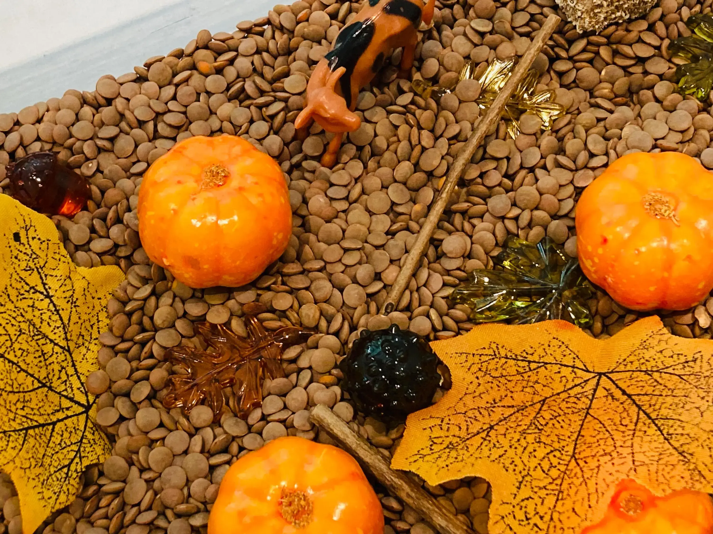 Curious Learning and Sensory – wholesale Toy set – Kids – Fall Pumpkin Patch Sensory Bin, Sensory Bins for Kids, Fall3