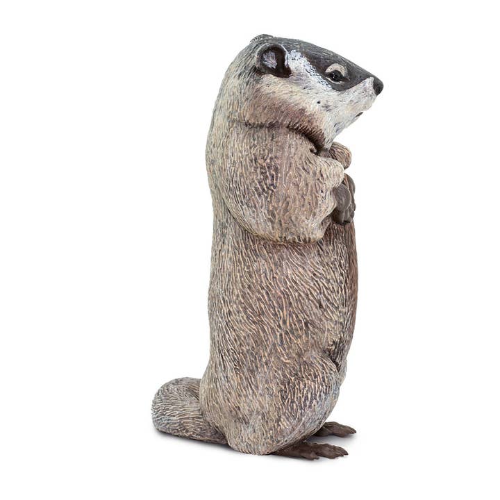 Safari Ltd. - Wholesale Decorative Figurine - Groundhog - 1001184