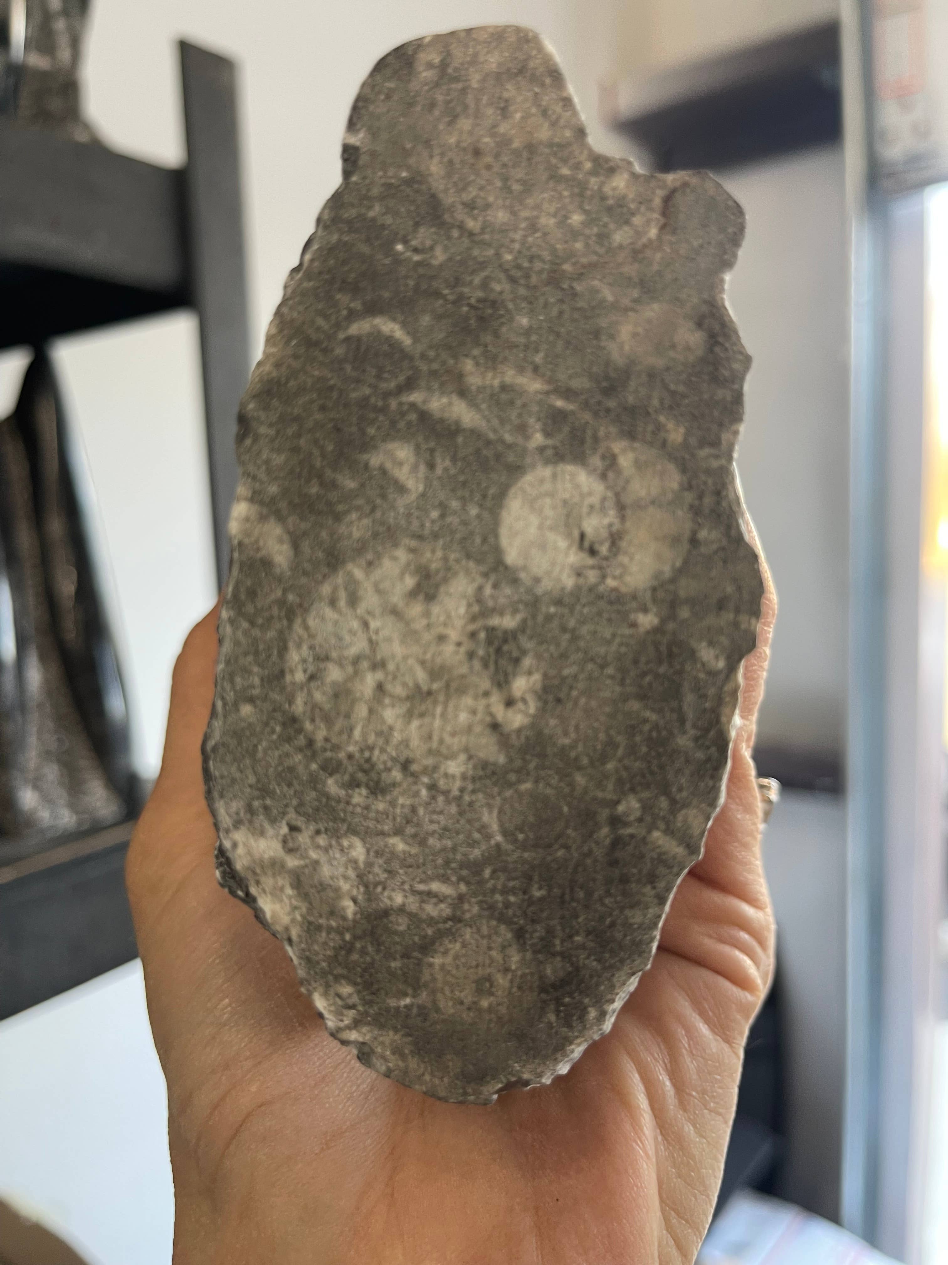 Casablanca Exports - Wholesale Decorative Tabletop Object - Fossil Orthoceras limestone statue tower 3