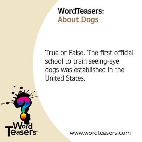 WordTeasers - Wholesale Card Game - About Dogs5