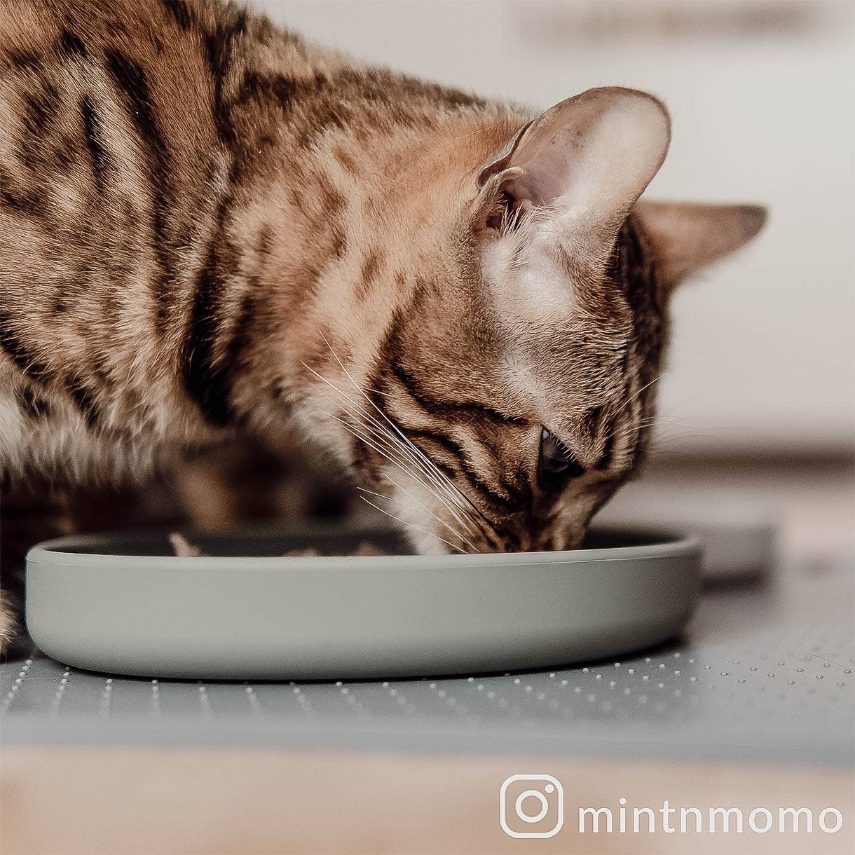 ne&no - Wholesale Pet Bowl - Cat/Dog - ne&no® Cat Silicone Feeding Bowl: whisker-friendly11
