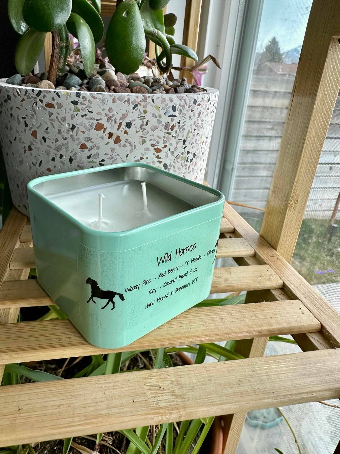 Cloudy Babe - Wholesale Travel Candles - Wild Horses Soy Candle2