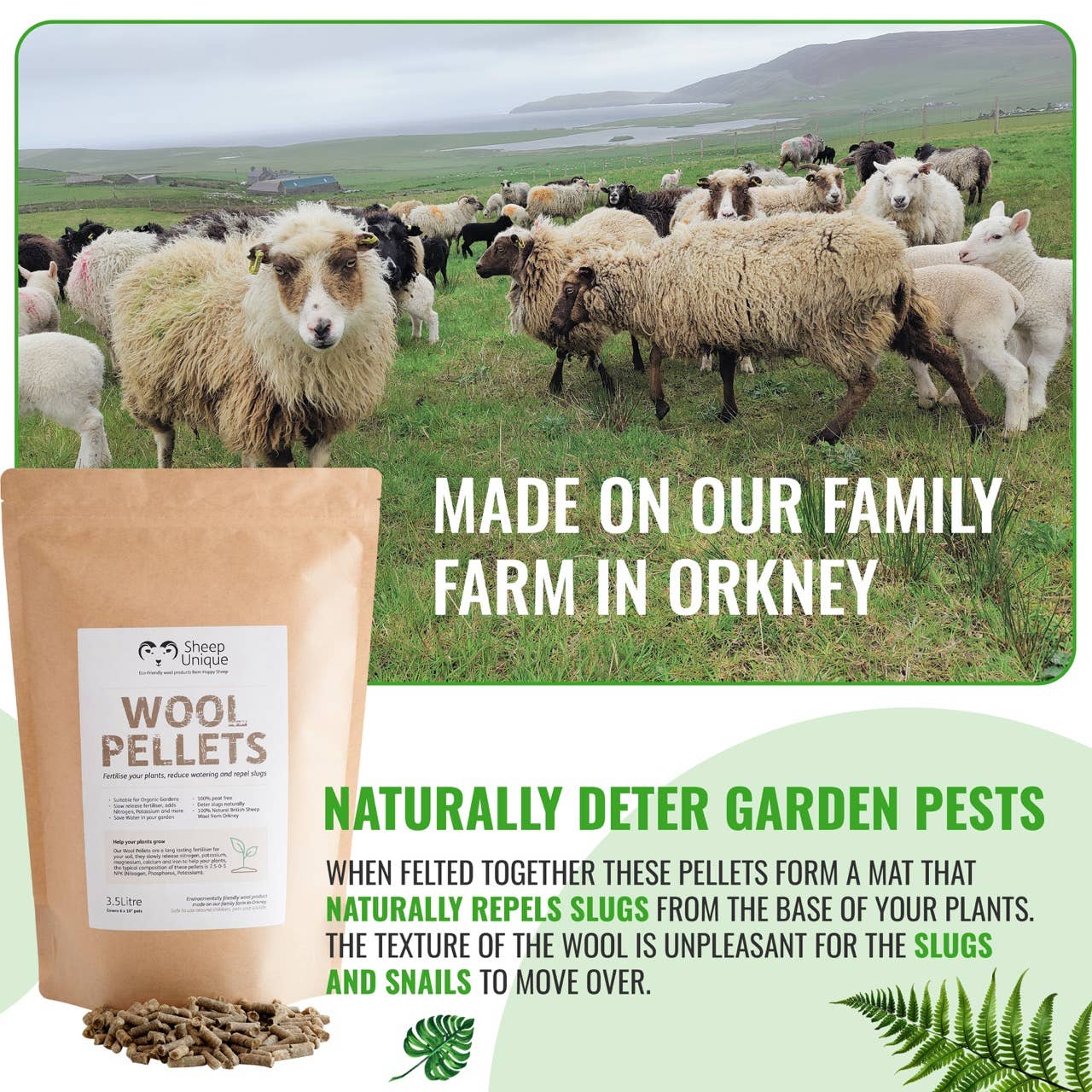 Sheep Unique – wholesale Planting/potting soil – Garden Wool Pellets - Natural Fertiliser Eco, Peat-Free 3.5L5
