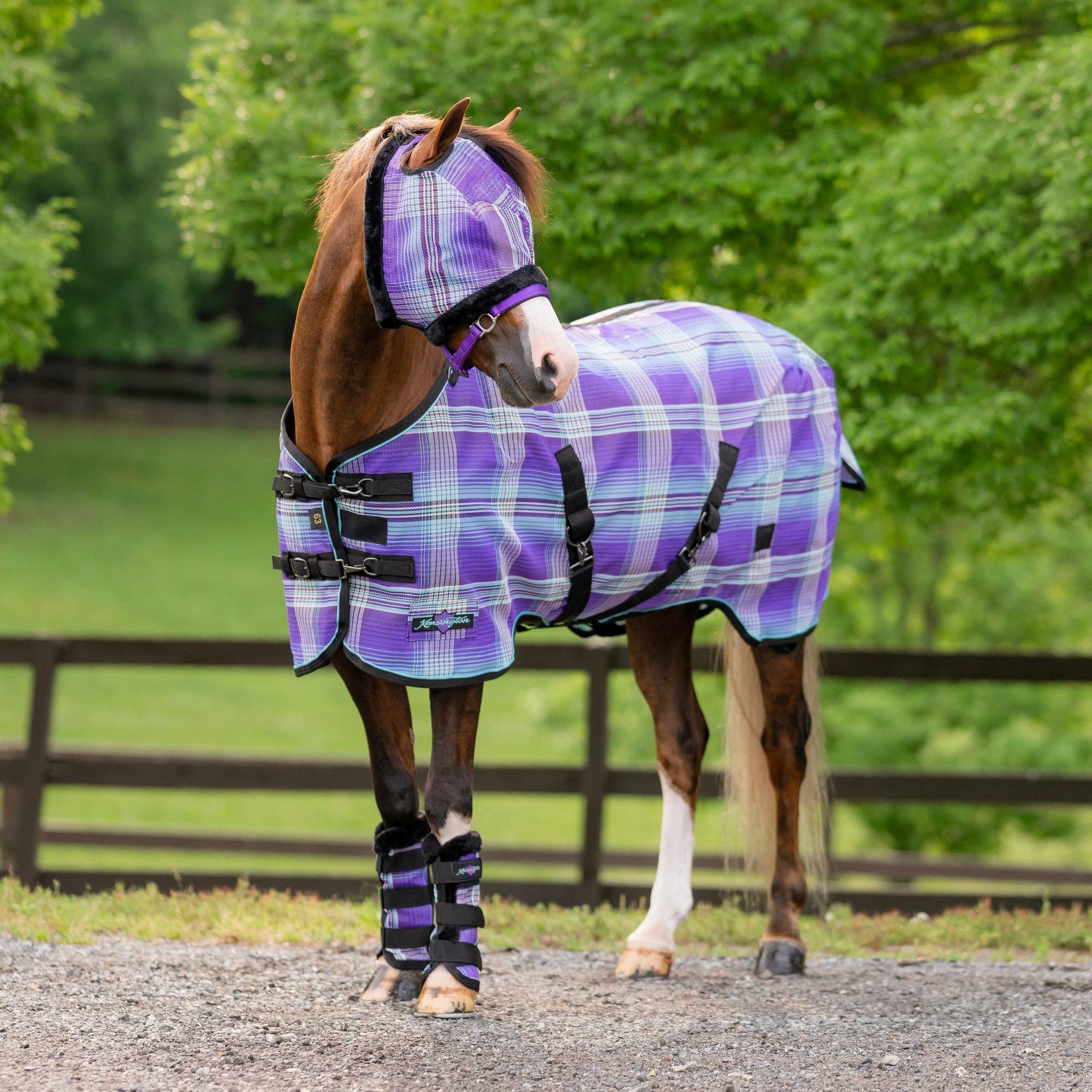 Kensington - Vente Équipement d’équitation - Drap anti-mouches anti-UV à 73 % pour poney, design SureFit® pour un ajustement idéal2