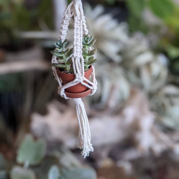 Leaf and Cord - Wholesale Hanging Planter - Mini Macrame Plant Hanger