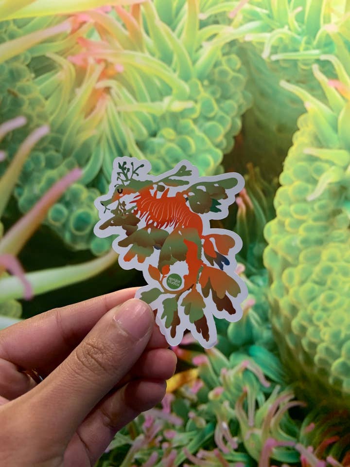 Sea Dragon Seahorse Sticker for wholesale by Apridot Studios
