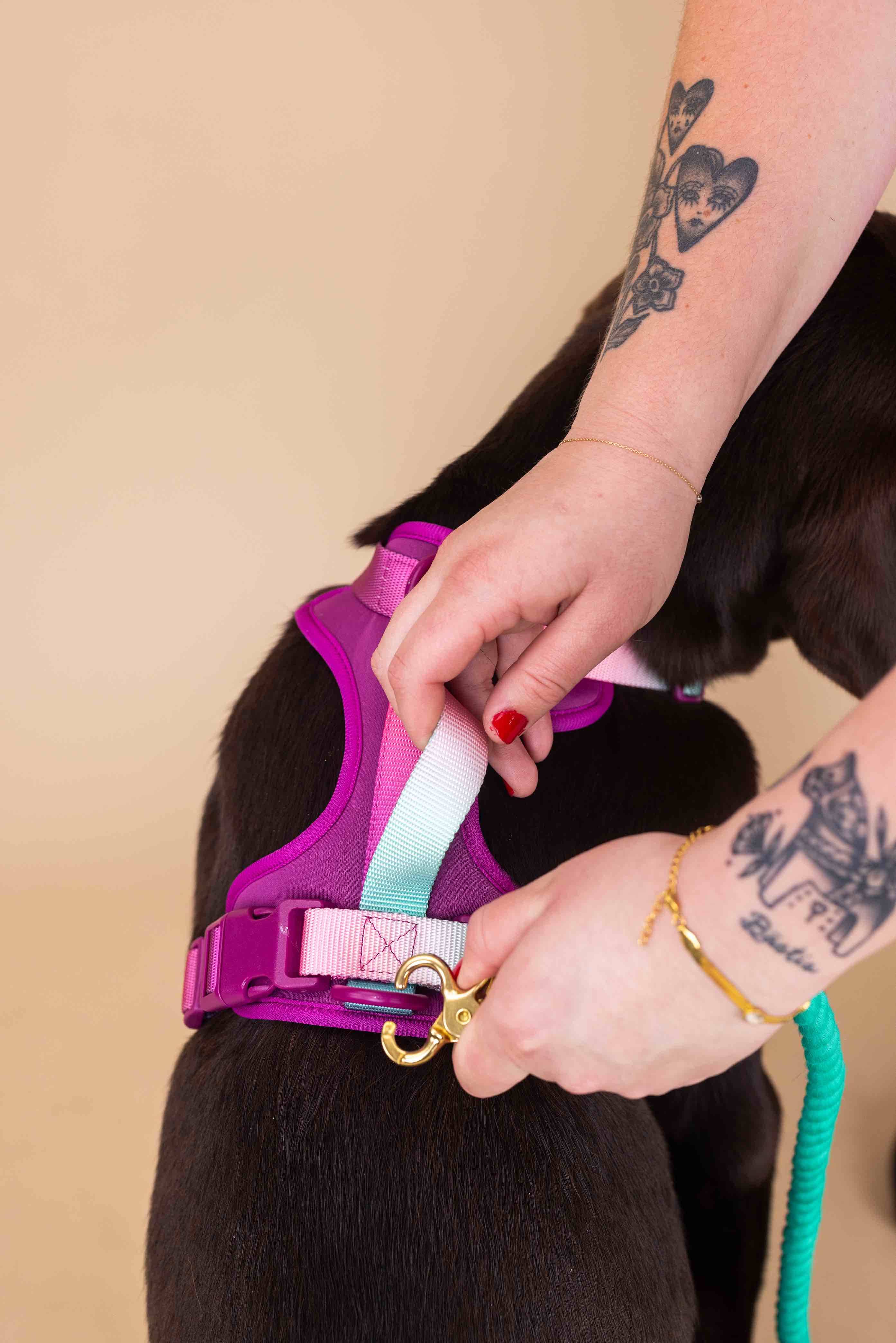 Pink Papyrus | Premium, Durable, & Stylish Dog Products - Wholesale Pet Harness - Dog - Joana Dog Harness | No Pull Dog Harness | Purple Dog Harness8