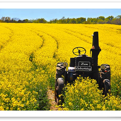 Compleanno/Biglietto d'auguri/519367 per la vendita all'ingrosso da parte di Yabué