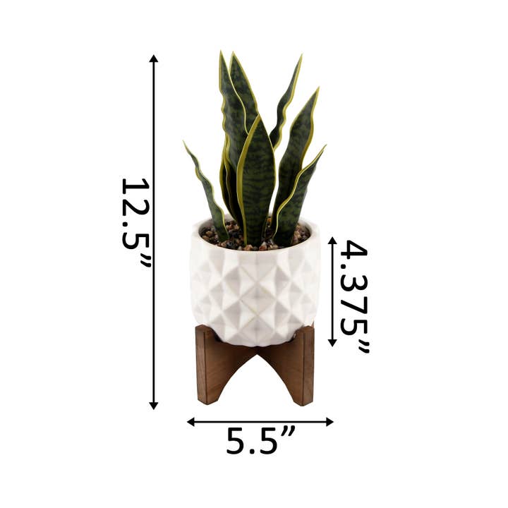 Flora Bunda Inc – Engroshandel Plantekrukke – 12.5"H Snake plante i keramik på stativ