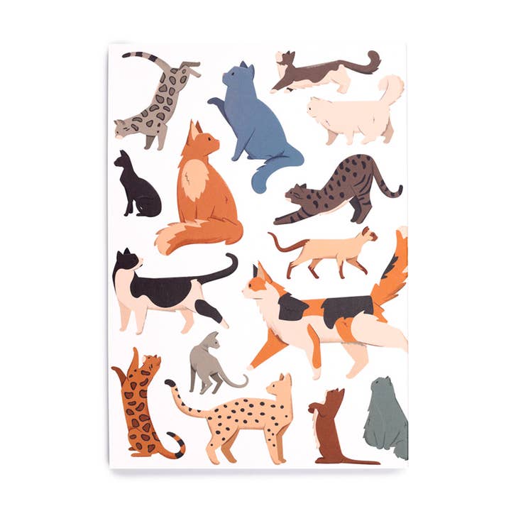 Puckator Ltd - Wholesale Notebook - Feline Fine Cats Recycled Paper A5 Notebook