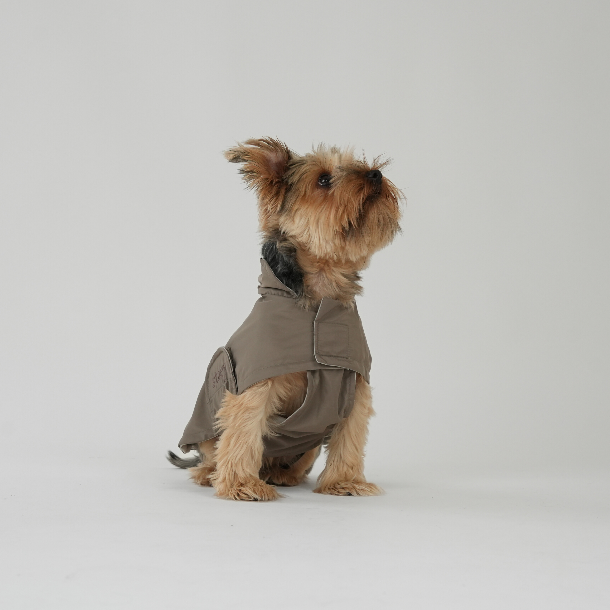Staey – wholesale Hundjacka - Hund – Hundregnjacka Vega | Taupe (utgången)6
