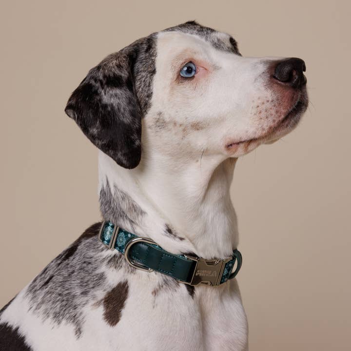 Verstellbares Hundehalsband - Waldjuwelen für den Großhandel von Minla