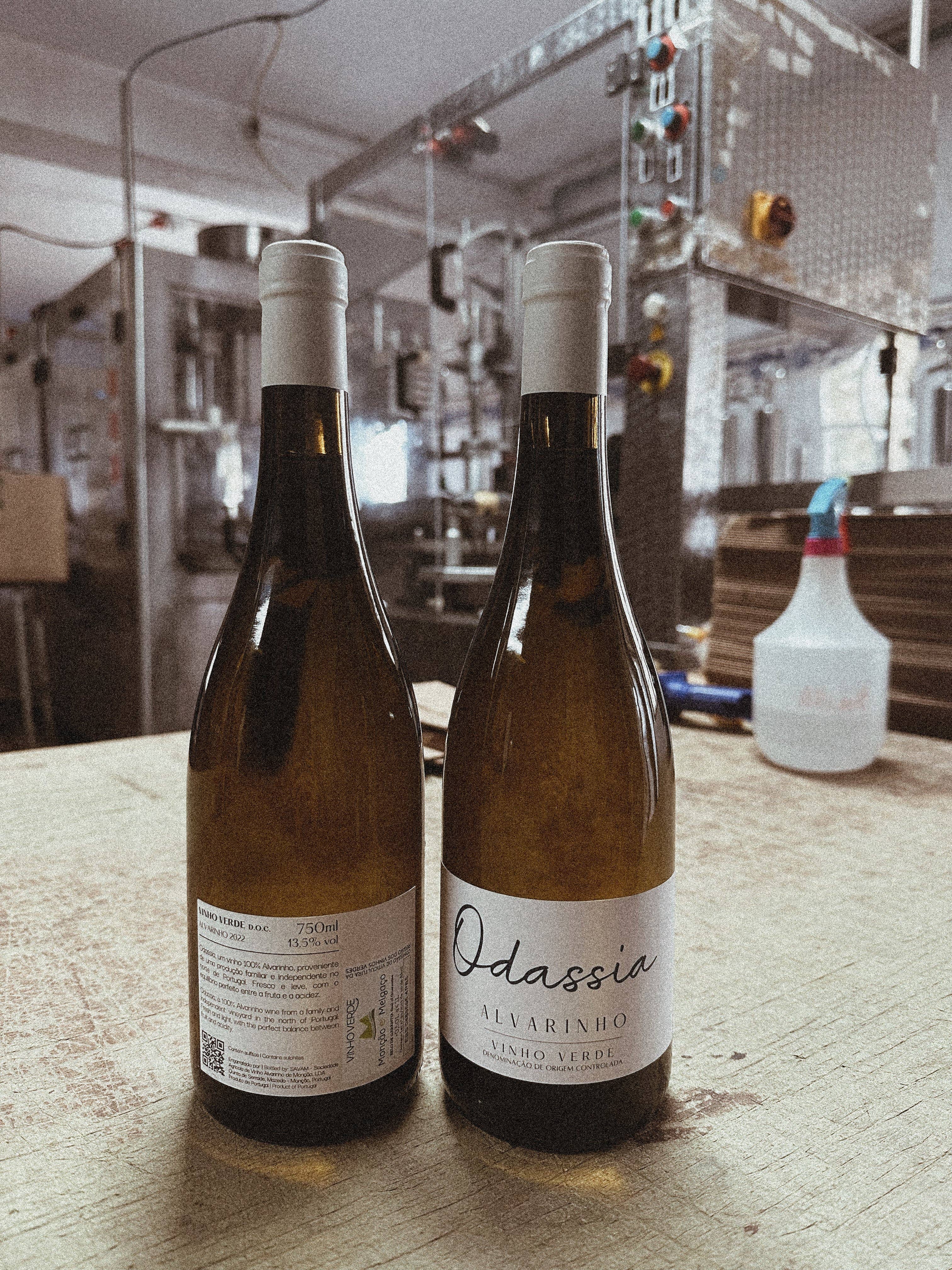 Odassia - Wholesale White Wine - Odassia 0.75L1