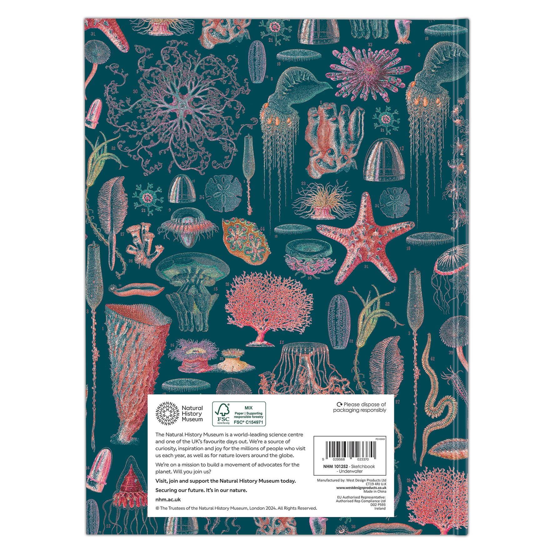 West Design Products – wholesale Sketchbook/sketchpad – Natural History Museum A5 Underwater Hardback Sketchbook1