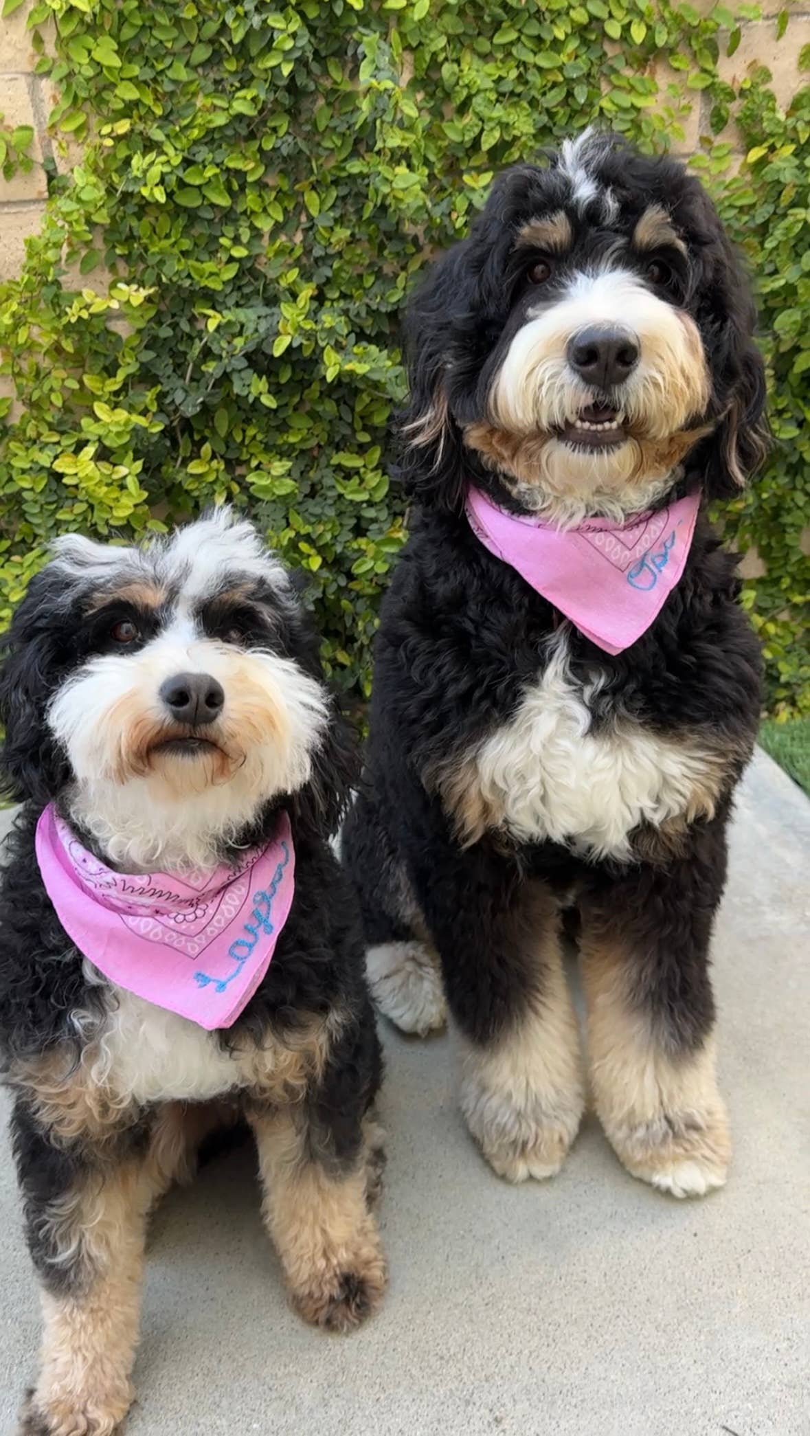 SJMStudios - Wholesale Bandana - Unisex - Custom Chainstitch Bandanas2