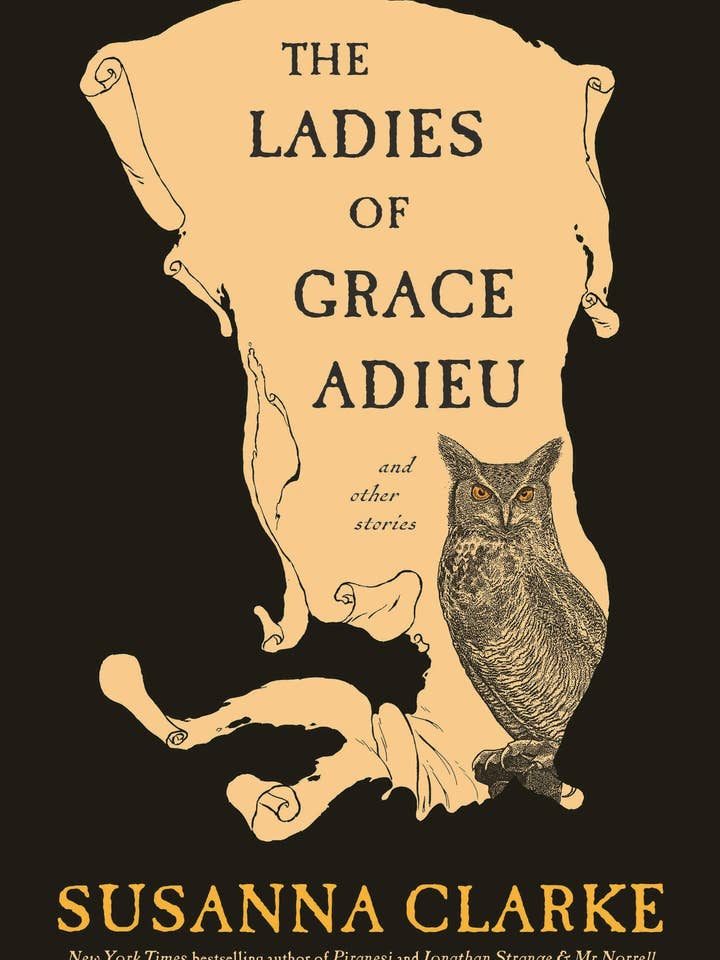 The Ladies Of Grace Adieu: for wholesale by Macmillan Publishers