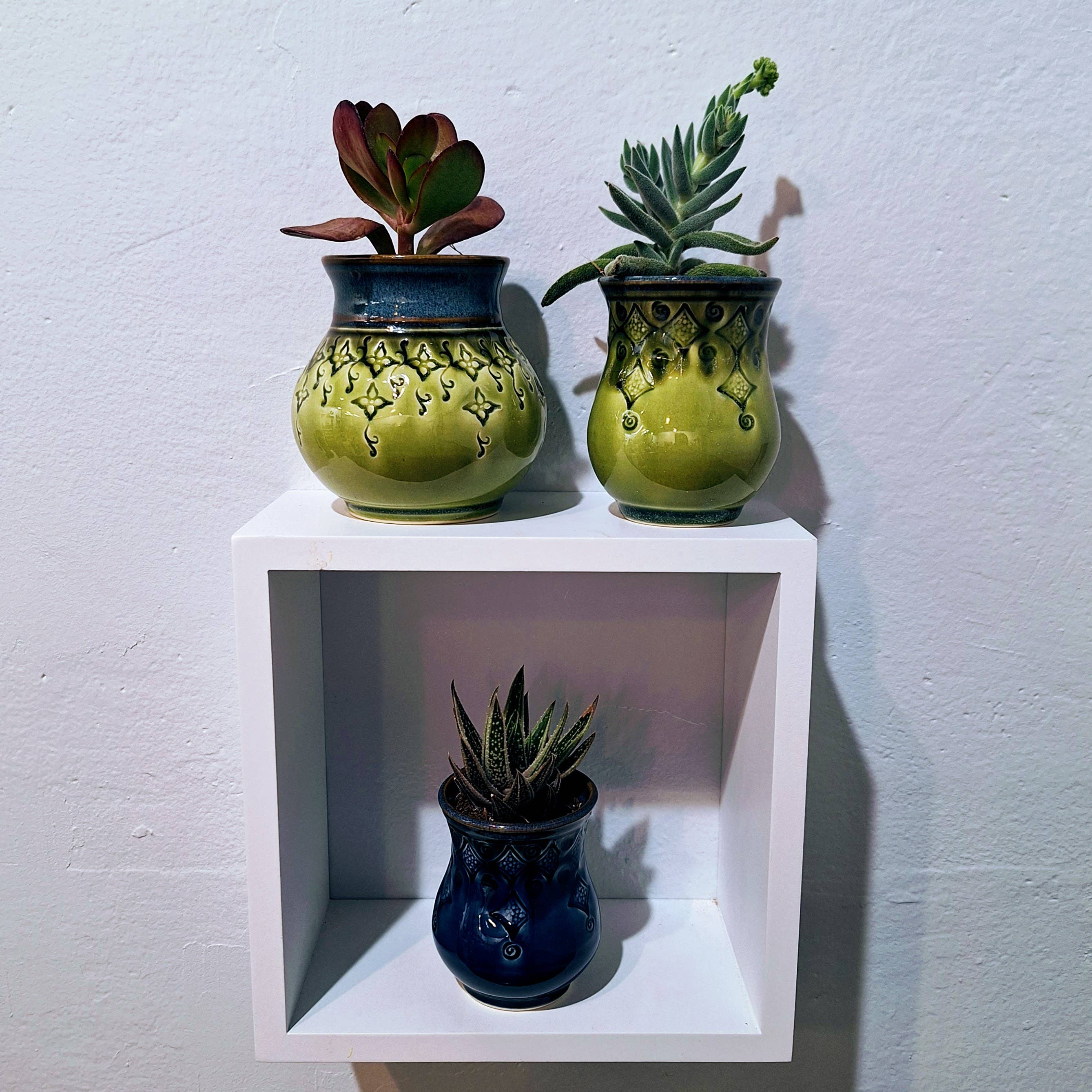 Plays in Mud Pottery - Wholesale Plant Pot - Large Tabletop Planter - Handmade Pottery Planter - MTO9