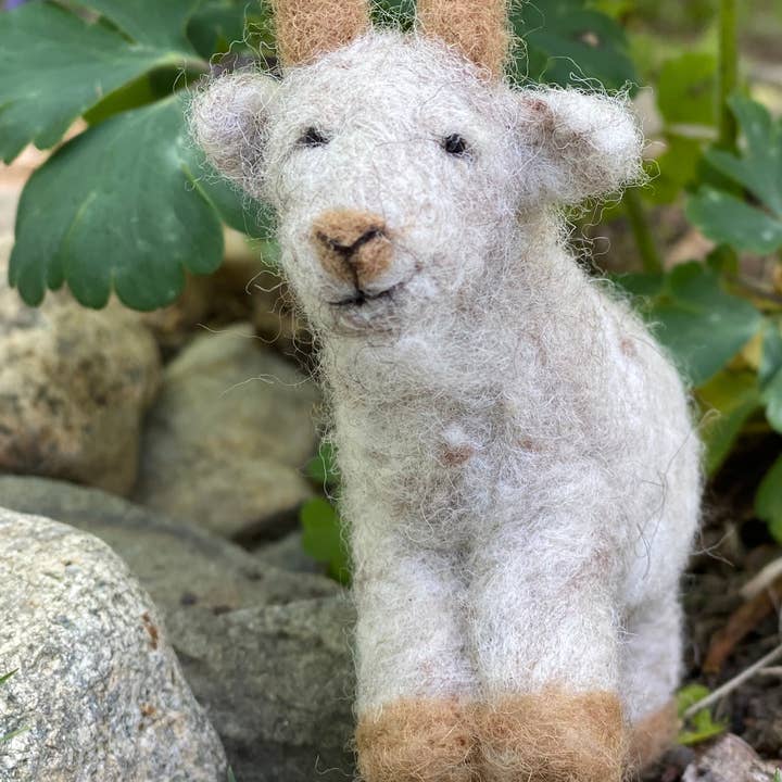 The Felted Bee – Großhandel Bastel-Nähset – Filzset für Ziegennadeln0