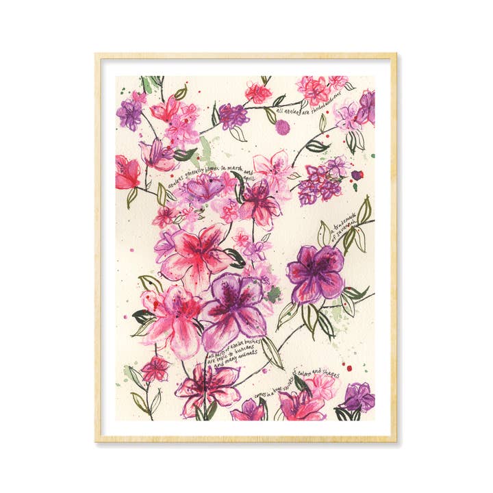 Südliche Azaleen Kunstdruck für den Großhandel von Tamara Garvey Illustration