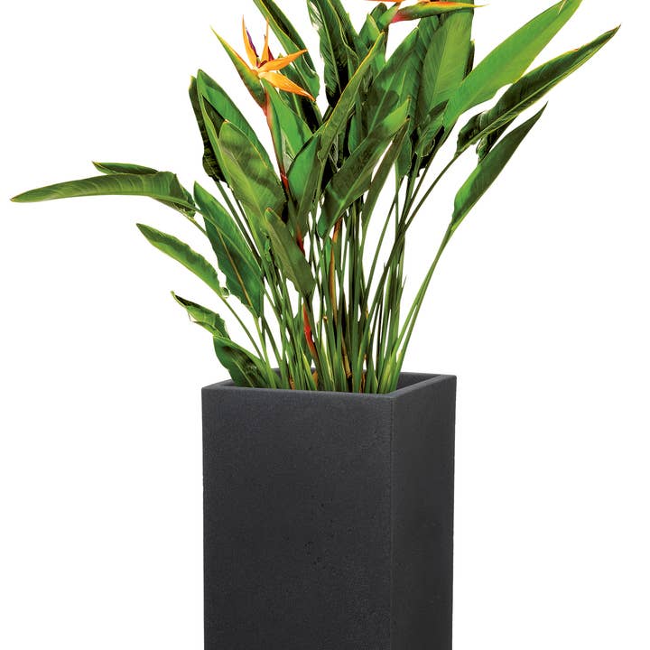 Scheurich - Wholesale Plant Pot - C-Cube High 240 plastic flower pot/planter7