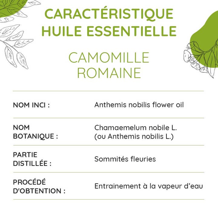 Propos'Nature - Wholesale Essential Oil - Organic Roman Chamomile Essential Oil 2.5ml4