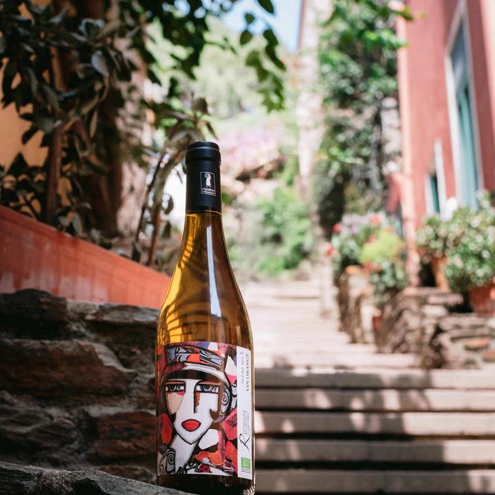 Domaine Ricardelle de Lautrec - Wholesale White Wine - Orange Wine - Vin Orange Scène n°5 20242