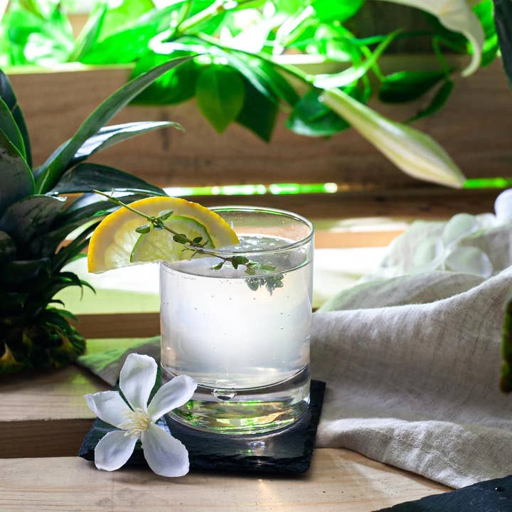 Old Fashioned Whiskygläser 9,5 oz - Bormioli Rocco Barglas - Set mit 6 Stück für den Großhandel von IKIDO